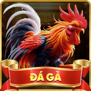Bảo mật thông tin ax88 android